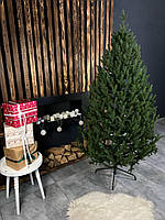 Ялинка лита Віденська зелена 1,8м