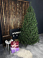 Ялинка лита Віденська зелена 2,3м