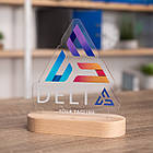 Брендований світильник 15\12 см, фото 6