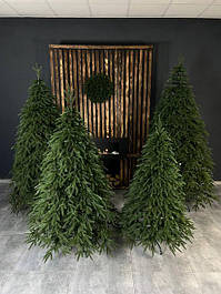 Смерека зелена