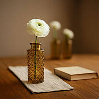 Набір зі скляних ваз, 6 штук, 13x5x5 см Коричневий