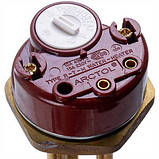 Тен для бойлера з термостатом 4000W (мідний) L=255mm фланець 54mm 1 трубка під датчик, фото 5