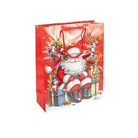Пакет подарунковий "Новий Рік" Bambi 2579-4 розмір 18х21,5х8 см, Toyman