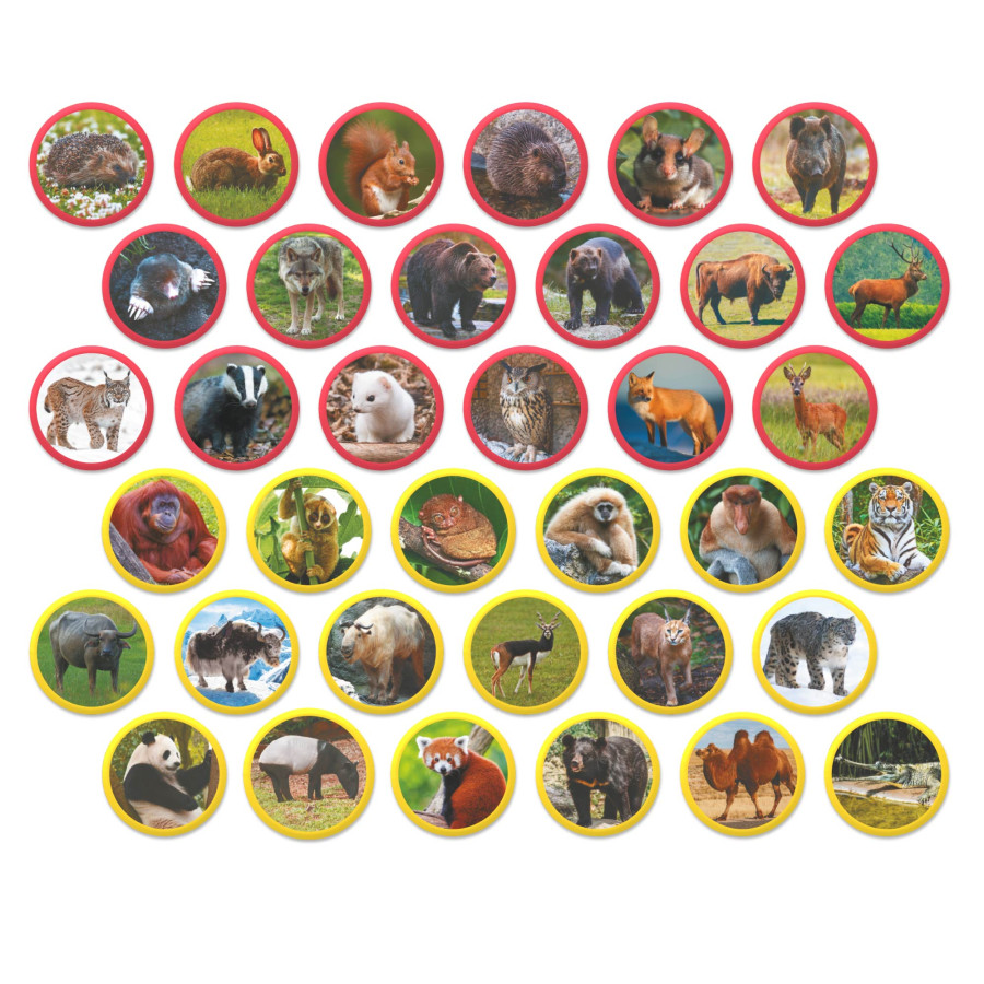 Product image preview