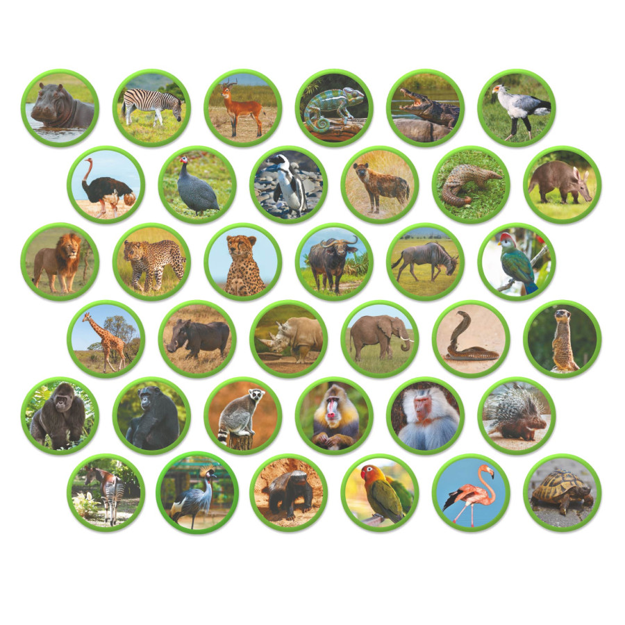 Product image preview