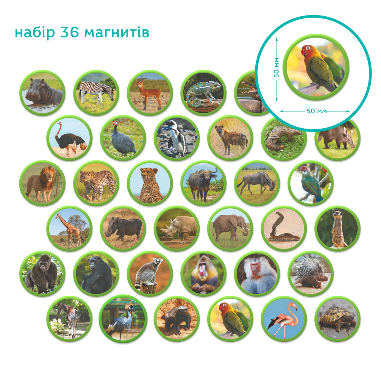 Product image preview