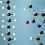 Що таке полімери та мономери