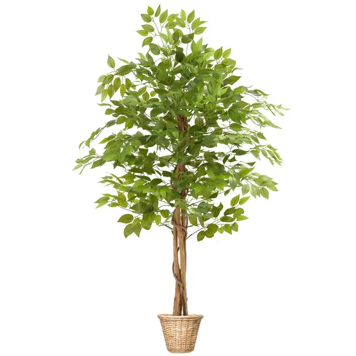 «Фікус Фіда» у реалістичному вигляді 160 см - штучне дерево для інтер'єру