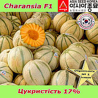 Диня Чарансія F1 / Charansia F1, Asia Seed (Південна Корея).