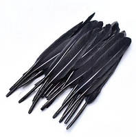 Пір'я натуральне гусяче чорне для декору набір 20 шт.