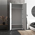 Шафа двостулкова з полицями та штангою 100см Шафи розпашні дизайнерські з Ламінованого ДСП, фото 2