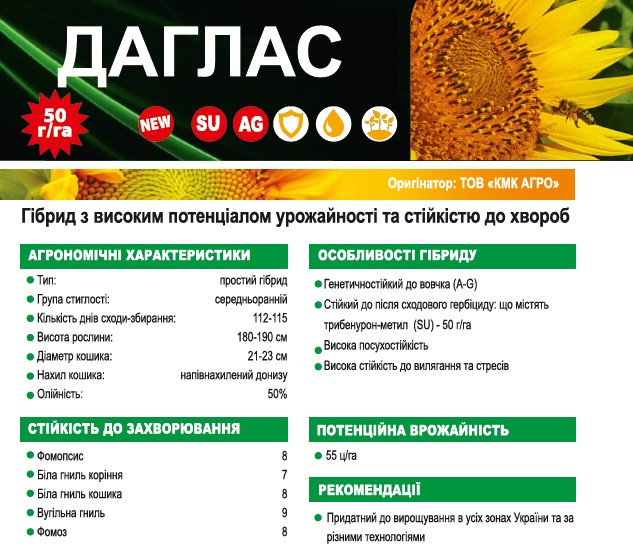 ДАГЛАС, фото 1