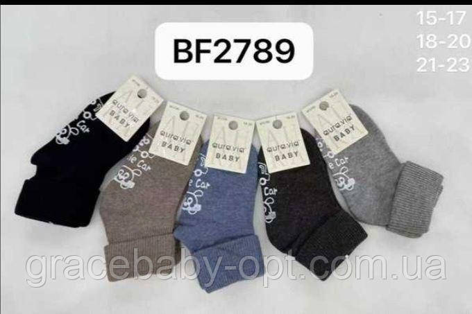 Шкарпетки для хлопчиків оптом, Aura.Via, 15/17-21/23 рр., № BF2789, фото 1