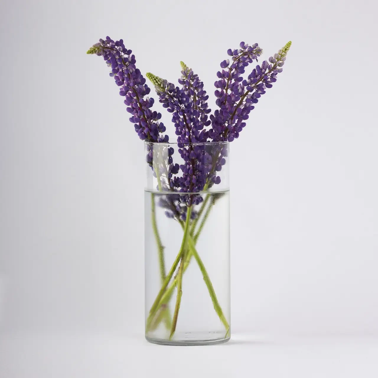 Ваза прозора циліндр h 380 d 200 мм, фото 1