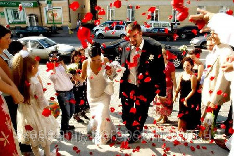 Лепестки роз на свадьбу красные 150 шт. - фото 4 - id-p21527054