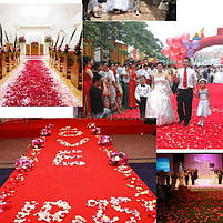 Пелюстки троянд на весілля червоні 150 шт., фото 5
