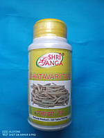 Шатаварі Шрі Ганга, 120 пігулок, Shatavari Shri Ganga