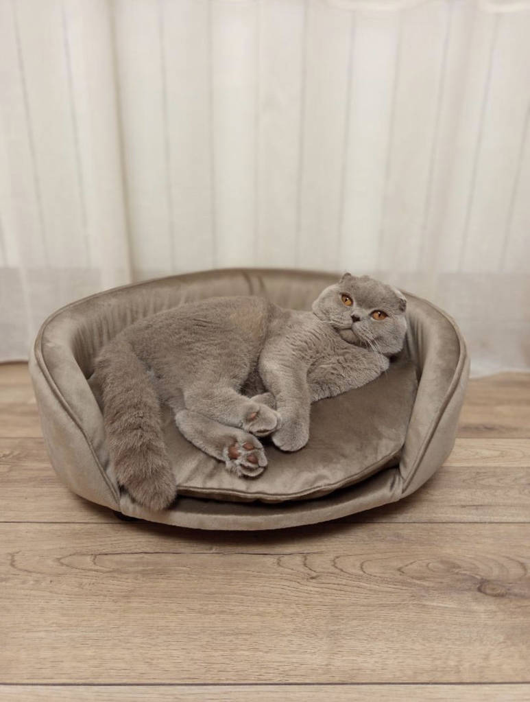 Сучасна кругла лежанка для котів і собак тепла, Універсальний лежак для собак і кішок 45 см - фото покупців 1