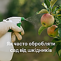 🕓 Як часто обробляти сад від шкідників