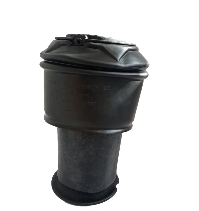 Пневмоподушка Citroen C4 Picasso (задня), фото 1