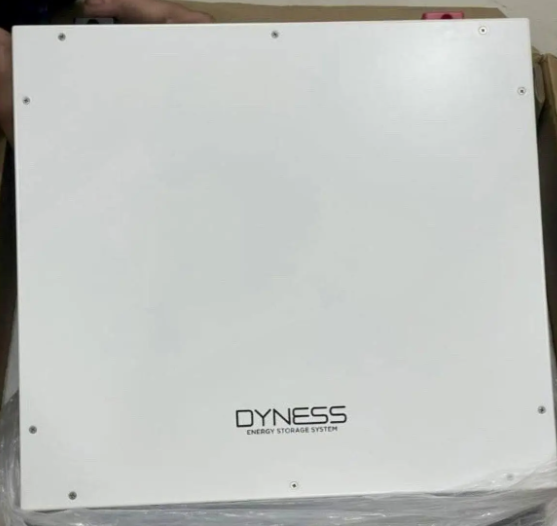 Акумуляторна батарея Dyness DL5.0C Heating (5,12 кВт*год/ 51,2 В), фото 1