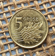 5 грошей 2024 року. Польща
