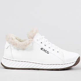 Зимові жіночі кросівки шкіряні з теплим хутром (ЛБ 9 білі)