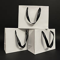 ОПТ 300*227*120 мм