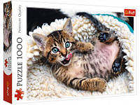 Пазли "Веселе кошеня", 1000 елементів Комбінований Різнобарвний
