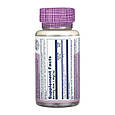 Bilberry Berry Extract 60mg - 60 vcaps, фото 2