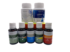 Антипаразитарна програма для очищення організму стандарт 7 шт New Life