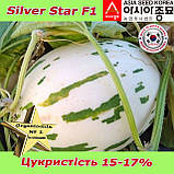 Диня Silver Star F1 / Сілвер Стар F1 (тип "Діно"), ТМ Asia Seed (Південна Корея), фото 2