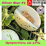 Диня Silver Star F1 / Сілвер Стар F1 (тип "Діно"), ТМ Asia Seed (Південна Корея), фото 4