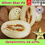Диня Silver Star F1 / Сілвер Стар F1 (тип "Діно"), ТМ Asia Seed (Південна Корея), фото 5