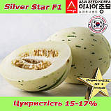 Диня Silver Star F1 / Сілвер Стар F1 (тип "Діно"), ТМ Asia Seed (Південна Корея), фото 6