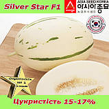 Диня Silver Star F1 / Сілвер Стар F1 (тип "Діно"), ТМ Asia Seed (Південна Корея), фото 7