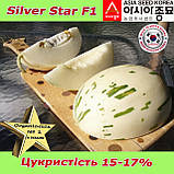 Диня Silver Star F1 / Сілвер Стар F1 (тип "Діно"), ТМ Asia Seed (Південна Корея), фото 8