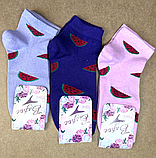 Шкарпетки підліткові "Кавун" асорті 19-21 р. (12 пар!) (Демісезонні) Варос, фото 5