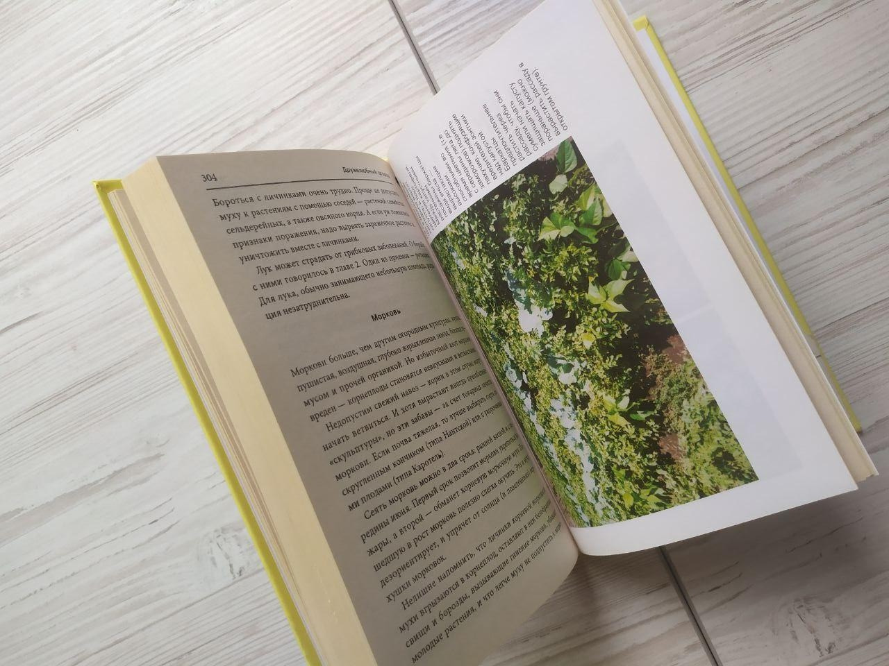 Product image preview