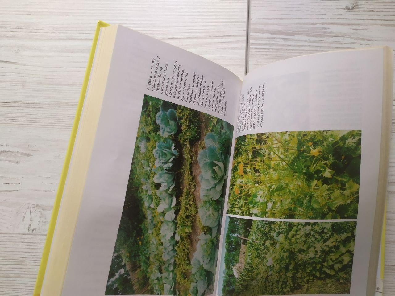 Product image preview