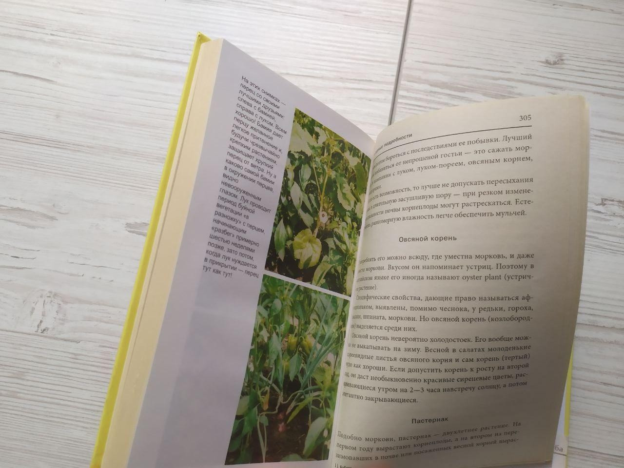 Product image preview