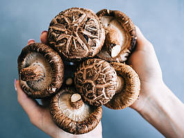 L-Ergothioneine: ерготіонеїн – природна амінокислота для клітинного здоров’я й тривалої молодості