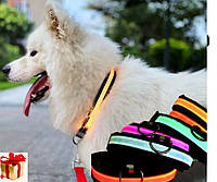 Світний LED-комір для собак світлодіодний нашийник для тварин на акумуляторі USB GLOW RING