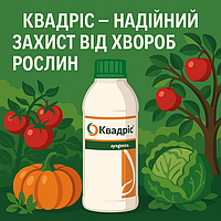 Квадріс — фунгіцид широкого спектра дії