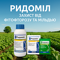 Ридоміл — надійний системний фунгіцид Syngenta