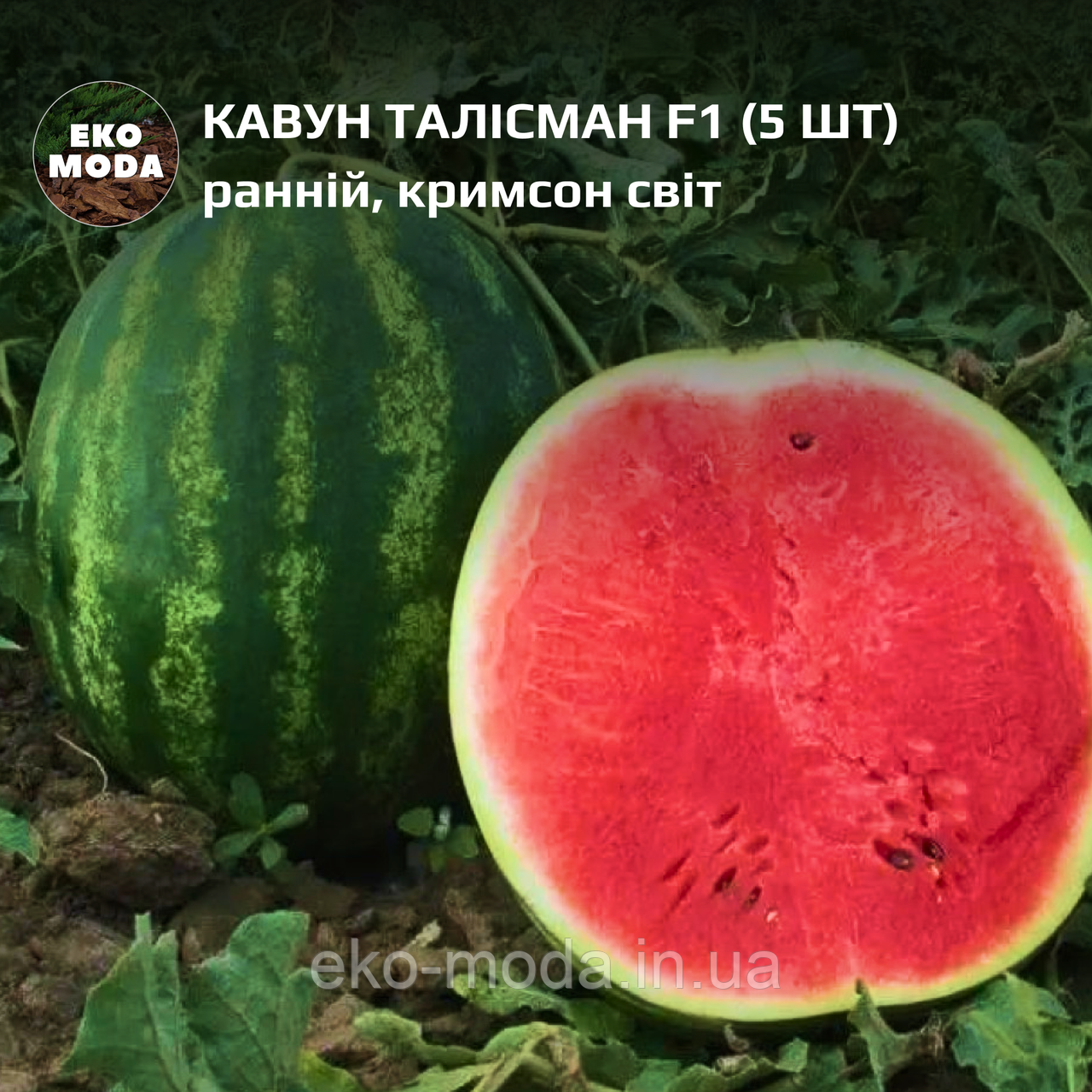 Кавун Талісман F1 – ранній, кримсон світ (5 шт zip-пакет)