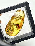 Сувенір із бурштину, камінь - інклюз з мушками, фото 2