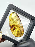 Сувенір із бурштину, камінь - інклюз з мушками, фото 3