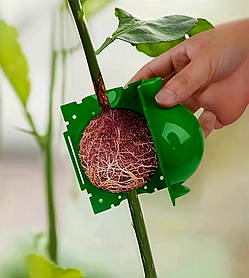 Контейнер для укорінення повітряними живцями ( 5см зелена )