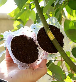 Контейнер для укорінення повітряними живцями ( 5см прозора )